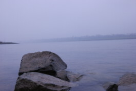 CONFLUENCE, Galerie Mazzoli, Daria Nazarenko 2020