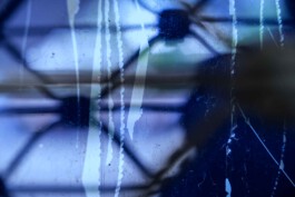 STUDIO NAZARENKO