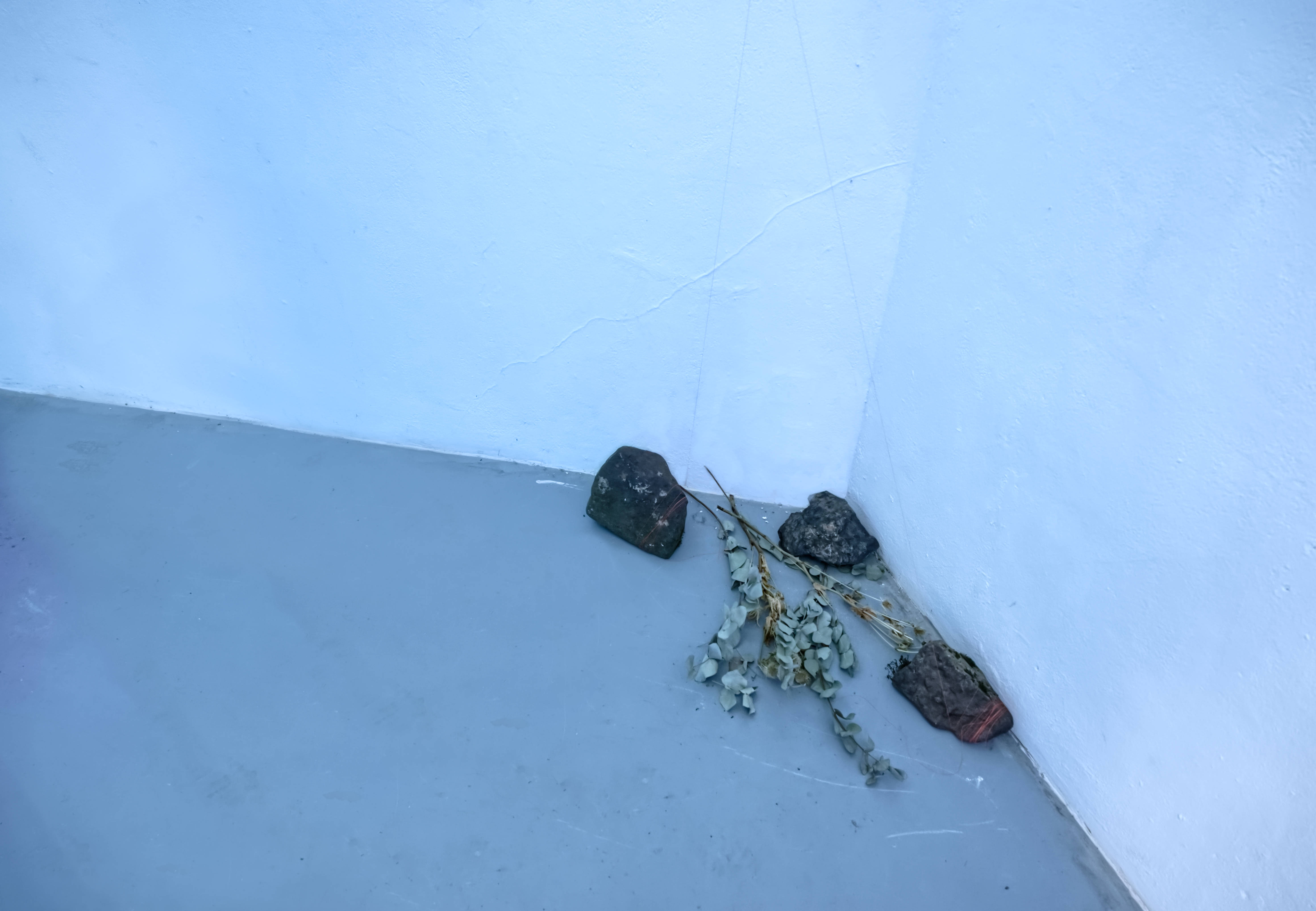 STUDIO NAZARENKO