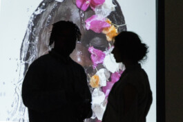 STUDIO NAZARENKO